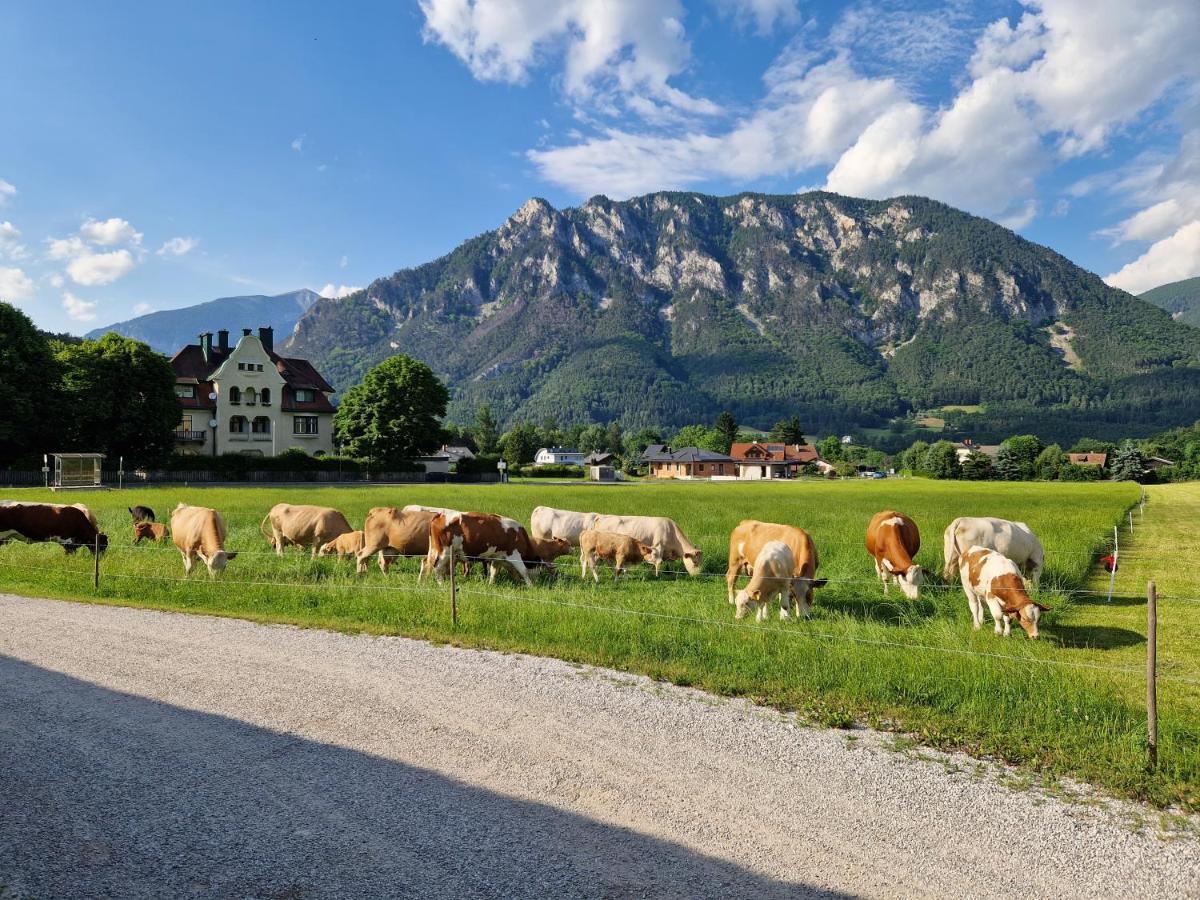 Appartamento Leo-Hof Hirschwang Esterno foto