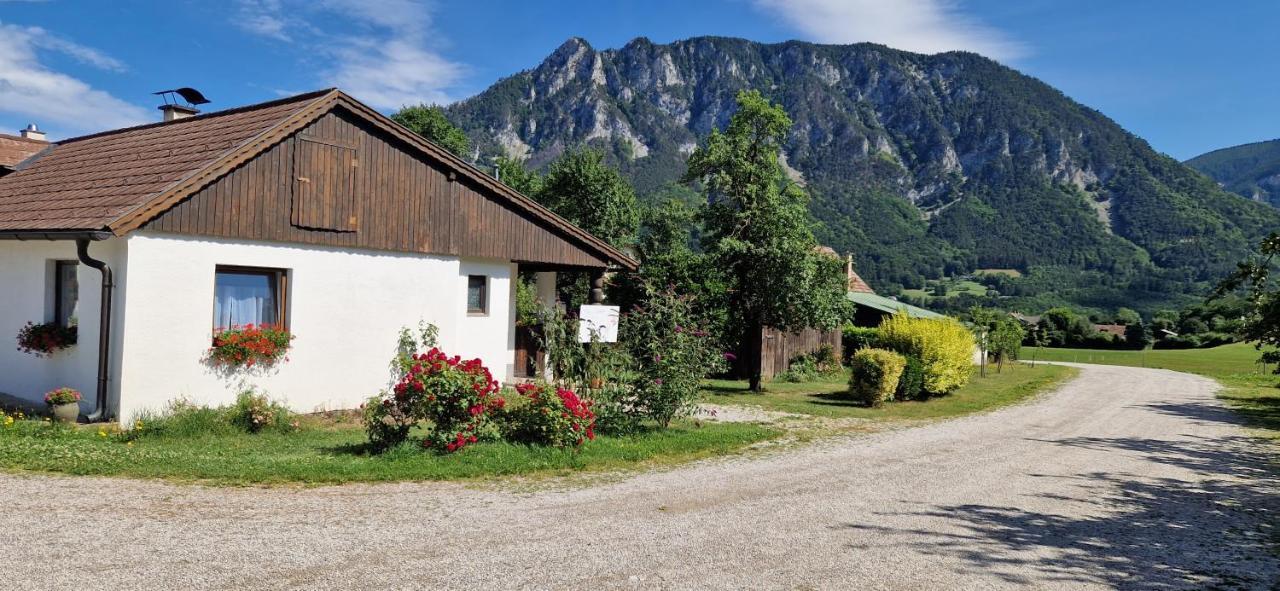 Appartamento Leo-Hof Hirschwang Esterno foto